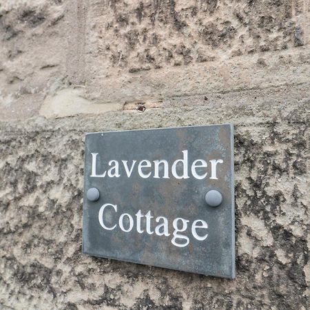 Lavender Cottage Alnwick Kültér fotó